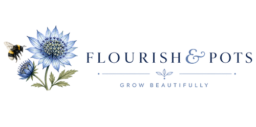 Flourish & Pots